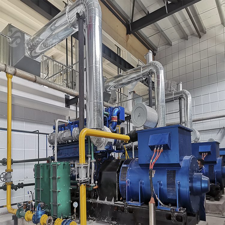 萬純發(fā)電機組尾氣凈化設(shè)備-餐廚垃圾沼氣發(fā)電機組脫硝